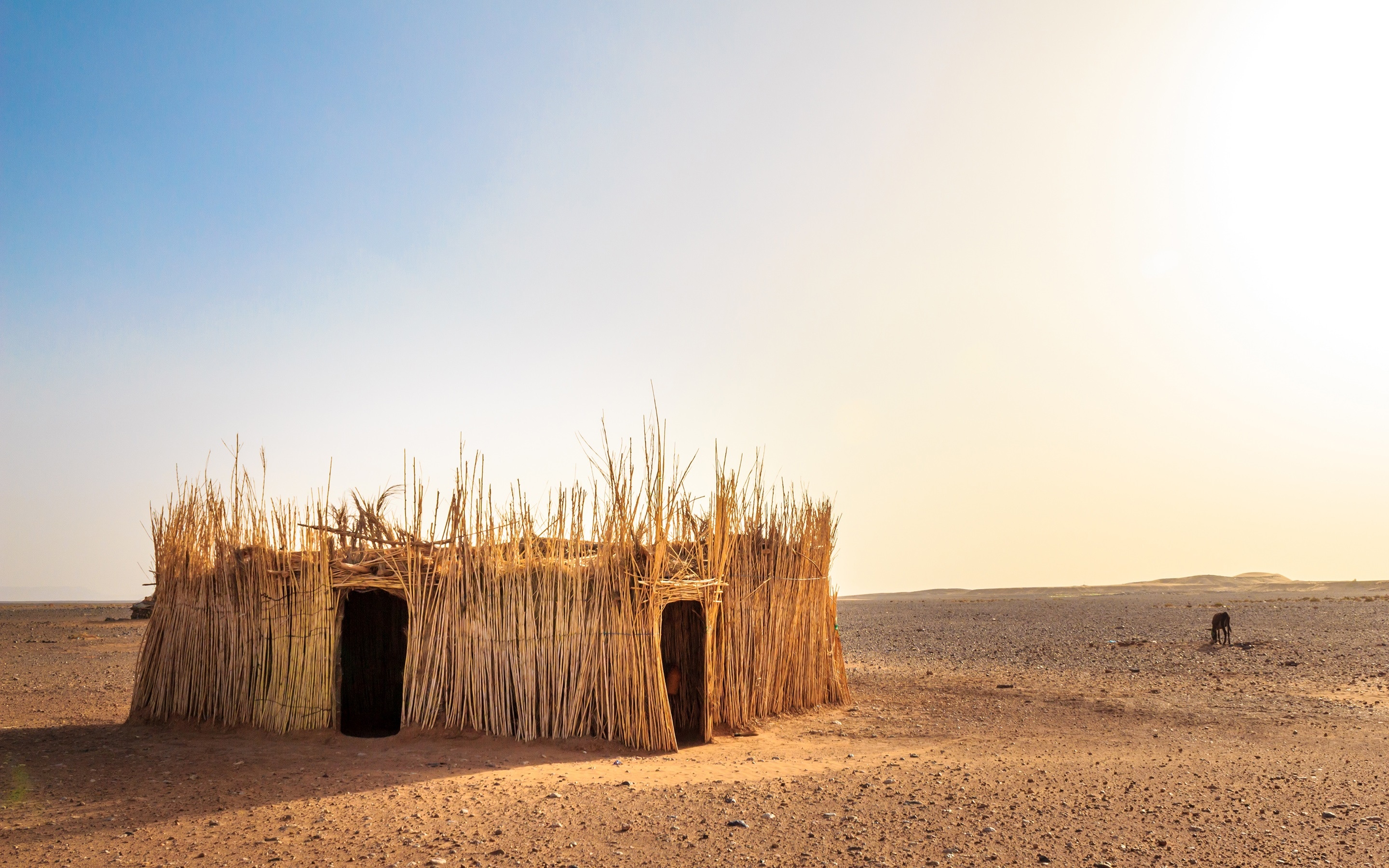 撒哈拉沙漠房子图片