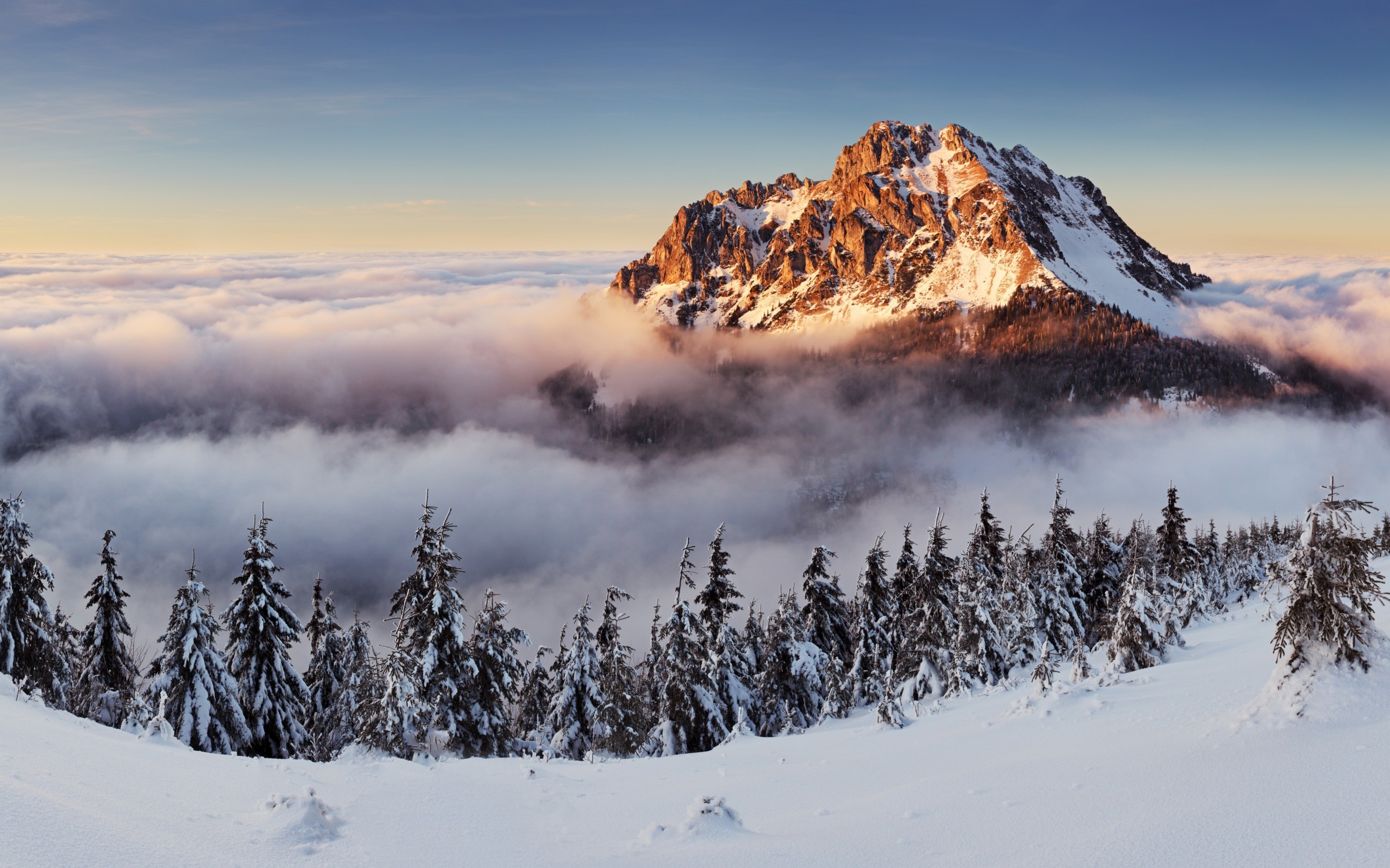 冬季景观雪壁纸,高清图片,壁纸,自然风景