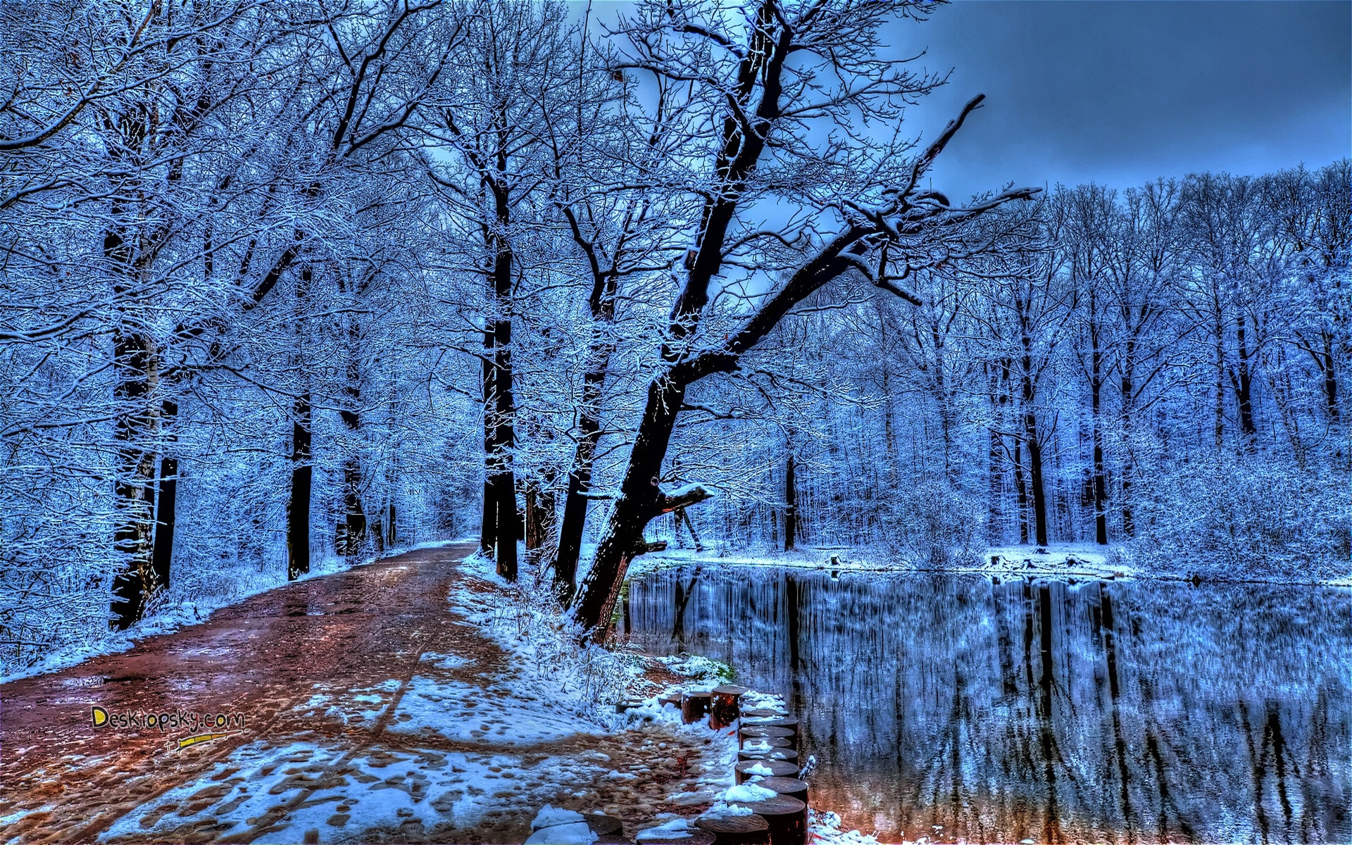 冬雪美景图片图片