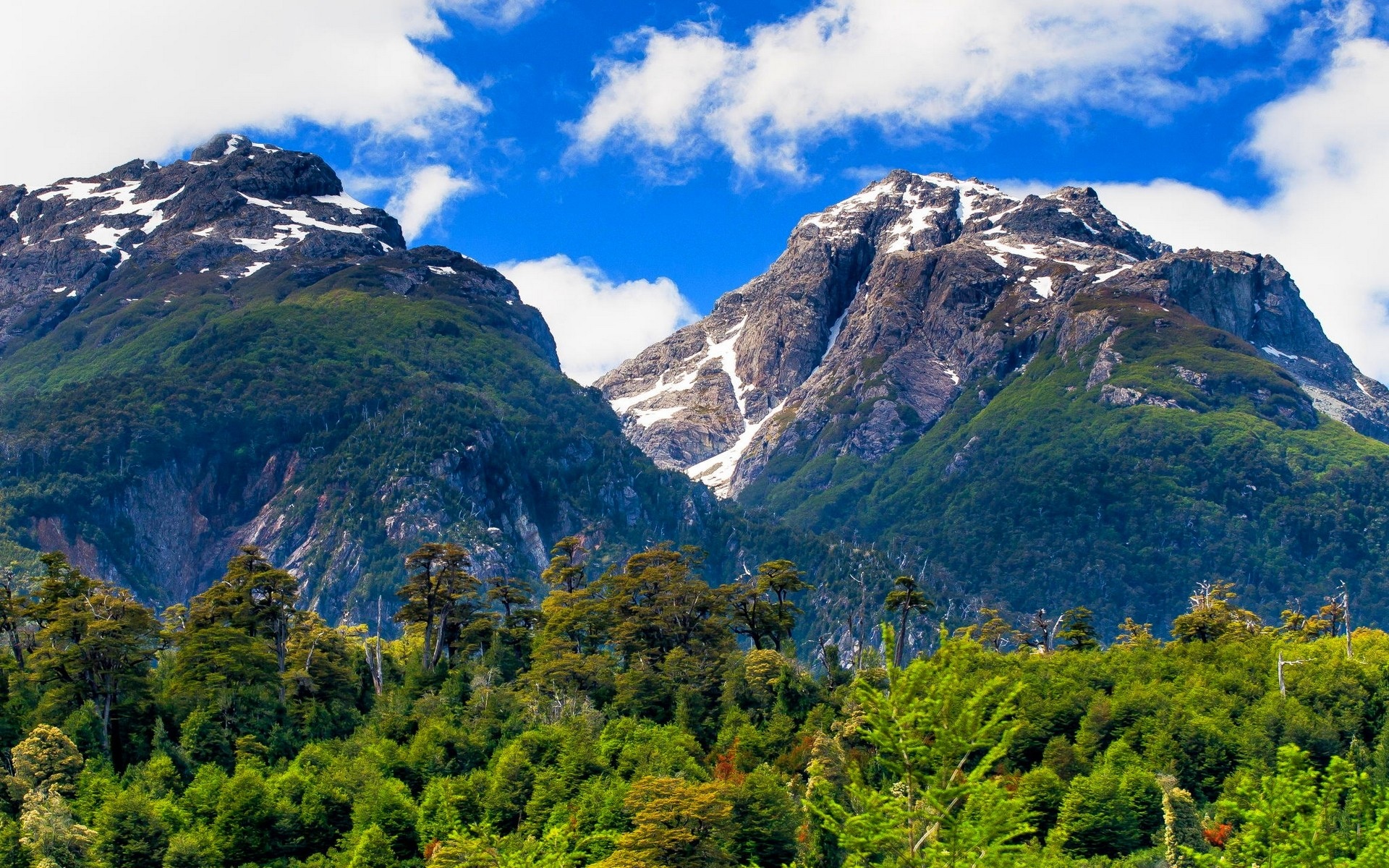 景观,性质,智利,夏天,山,森林,云,巴塔哥尼亚,雪峰,树木,绿色壁纸