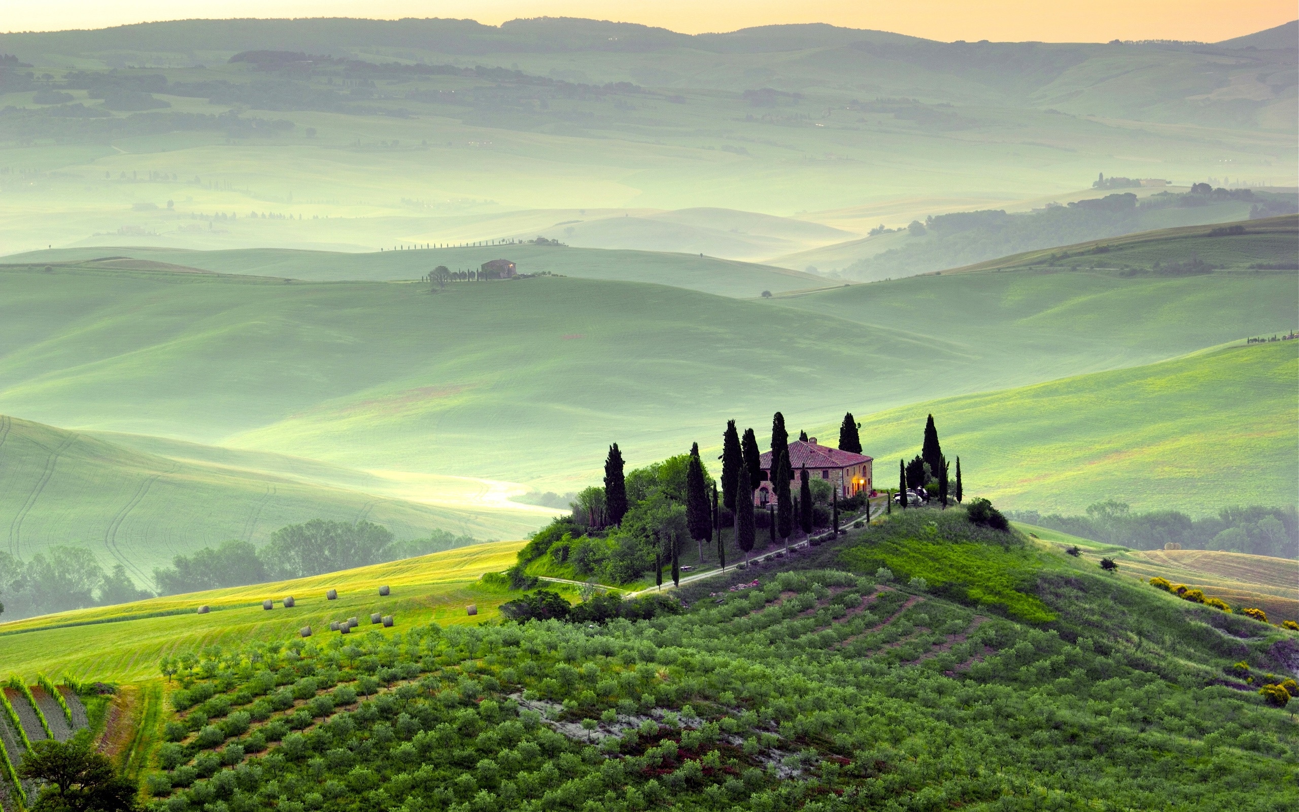 皮恩扎,托斯卡纳,意大利,春天的景色,田野,树木,早晨,雾,绿色壁纸