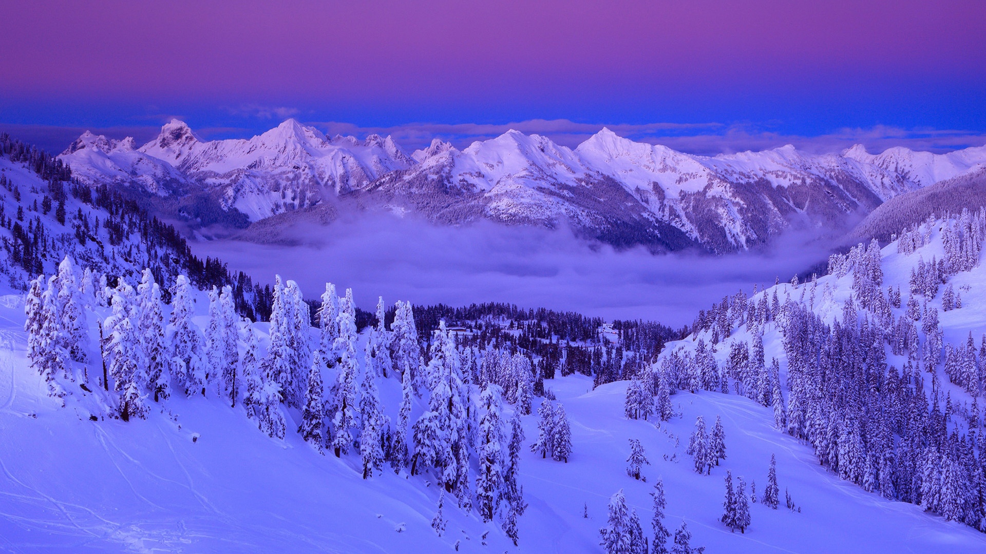 紫色,雲,雪,冬天,山,樹,天空,自然,風景壁紙1366x768分辨率查看