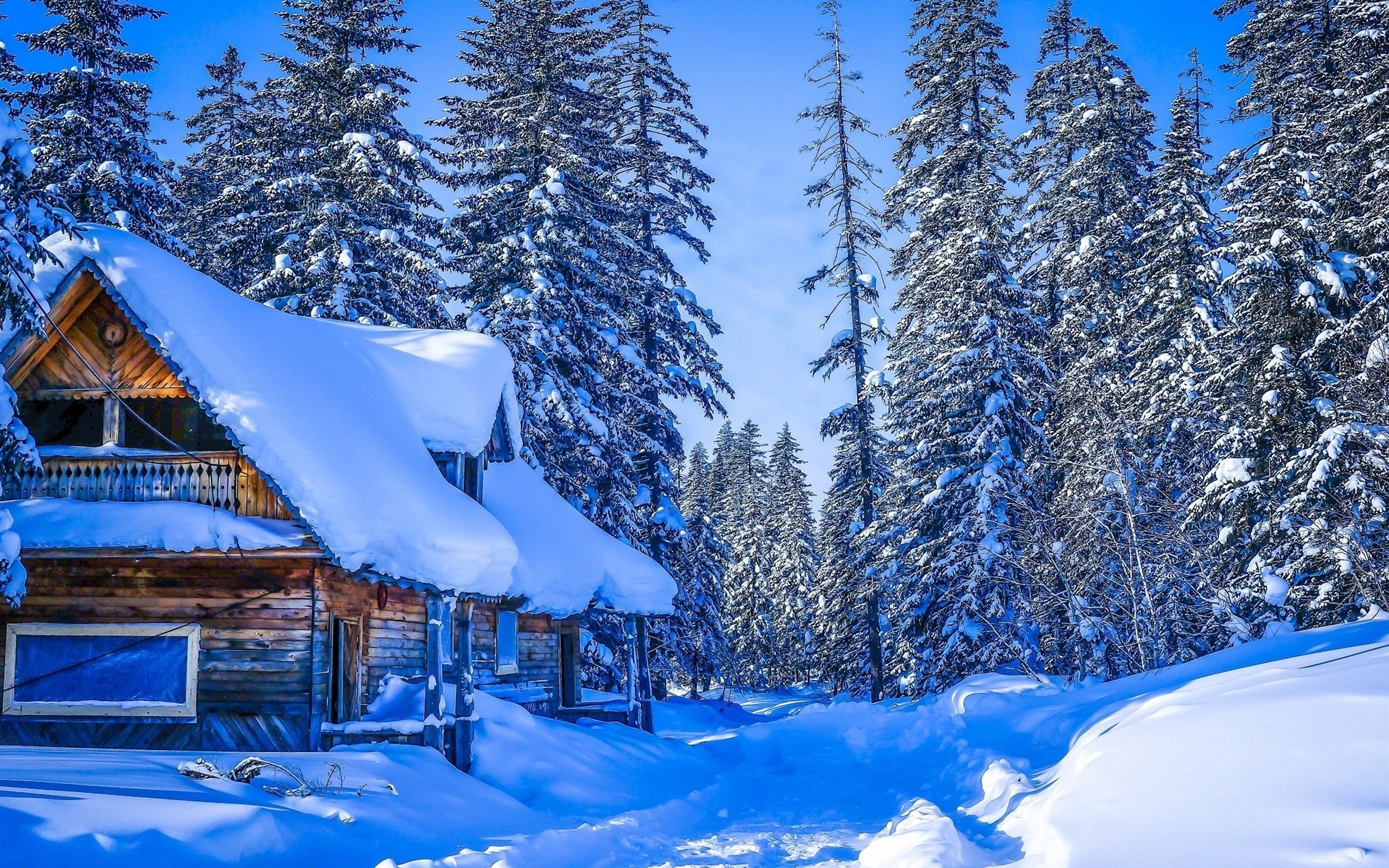 冬天,厚厚的雪,khabarovsk krai,俄罗斯,房子,森林,树壁纸1600x900