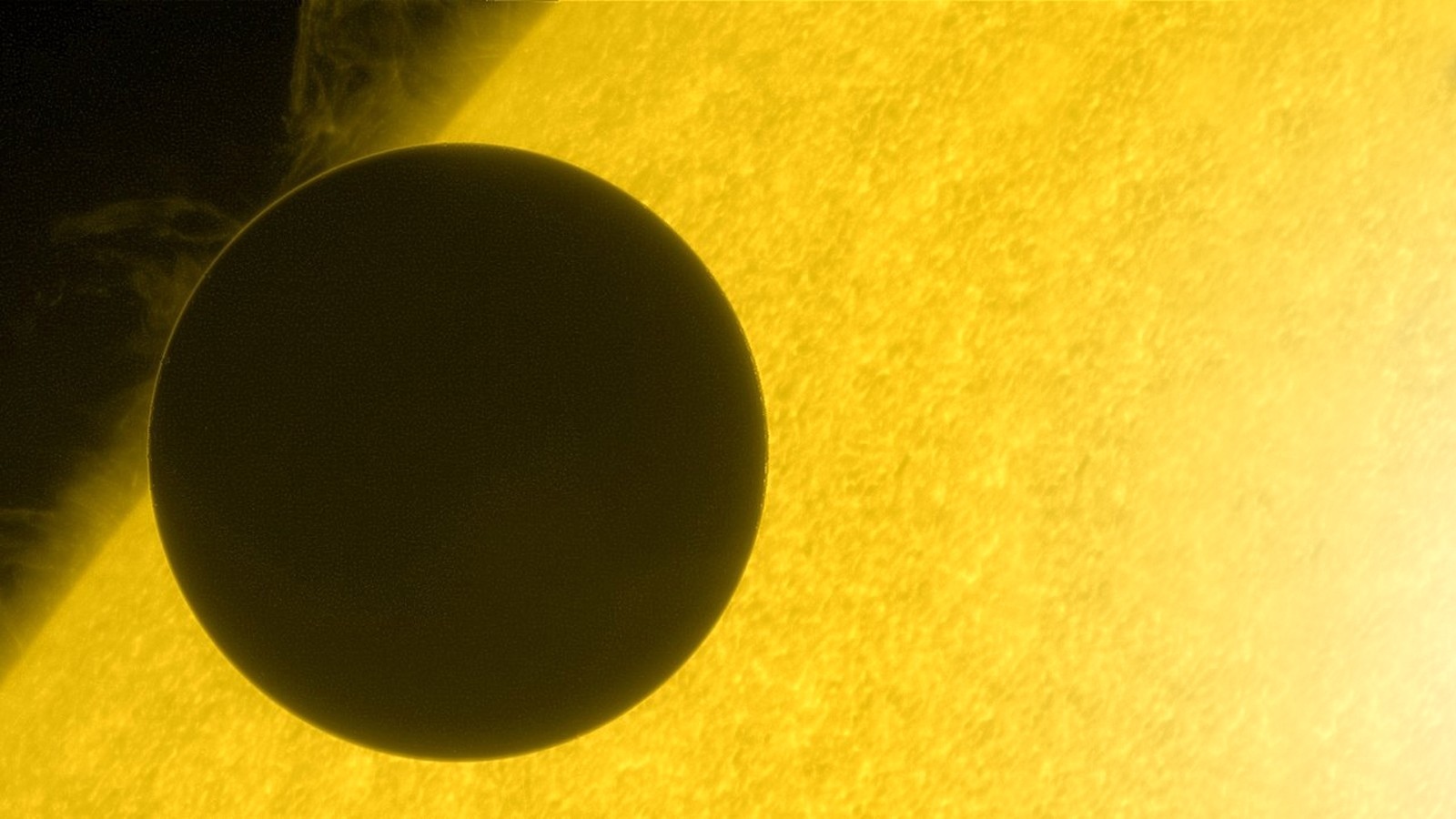 太阳拱金星图片