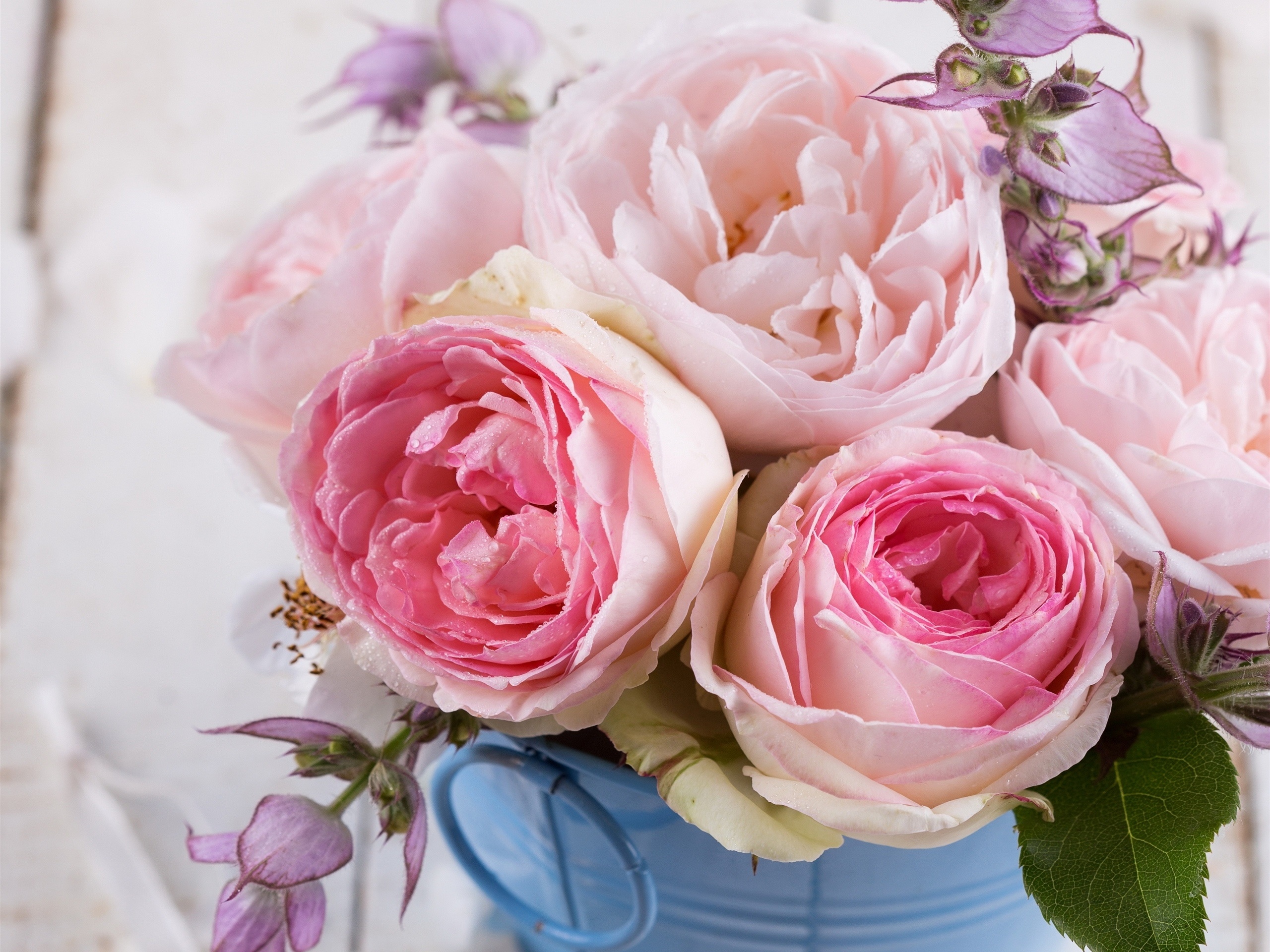粉红玫瑰,鲜花,花束壁纸
