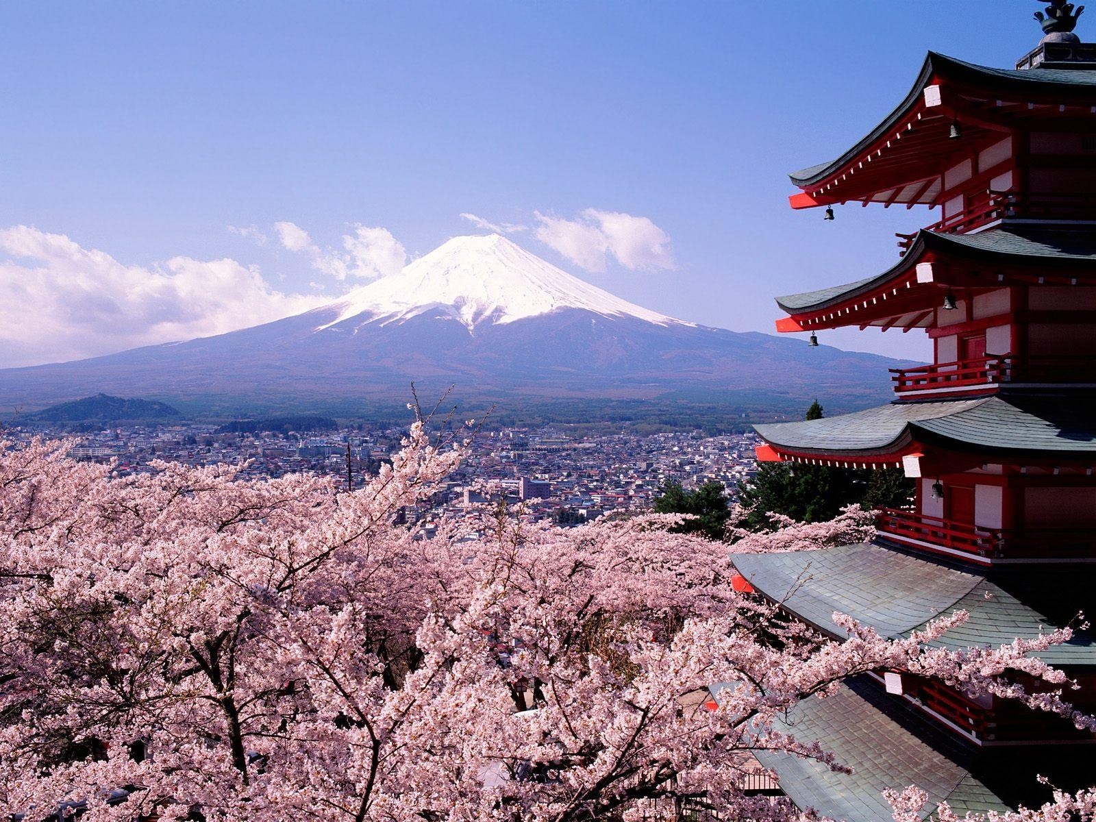 樱花,日本,富士山,城市,建筑壁纸1024x768分辨率查看