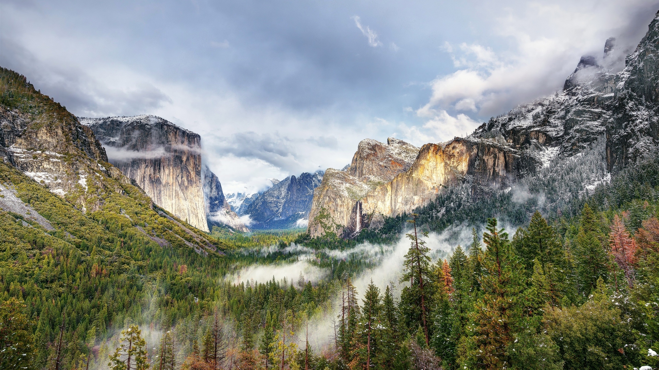 美丽的优胜美地公园,山,森林,树木,雾,云,美国壁纸1440x900分辨率查看